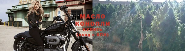 амф Медногорск