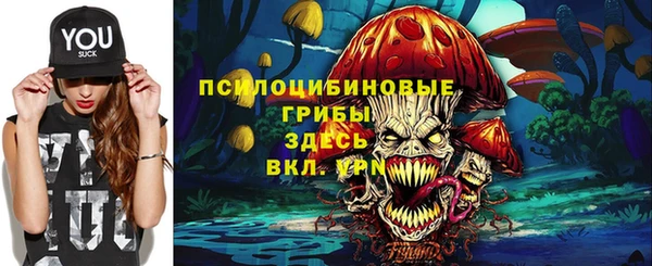 амф Медногорск