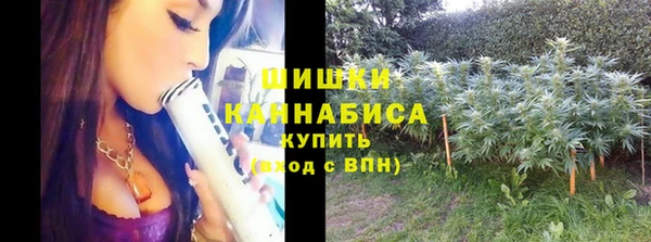 амф Медногорск